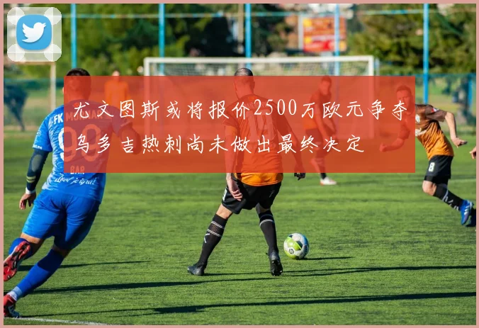 尤文图斯或将报价2500万欧元争夺乌多吉热刺尚未做出最终决定